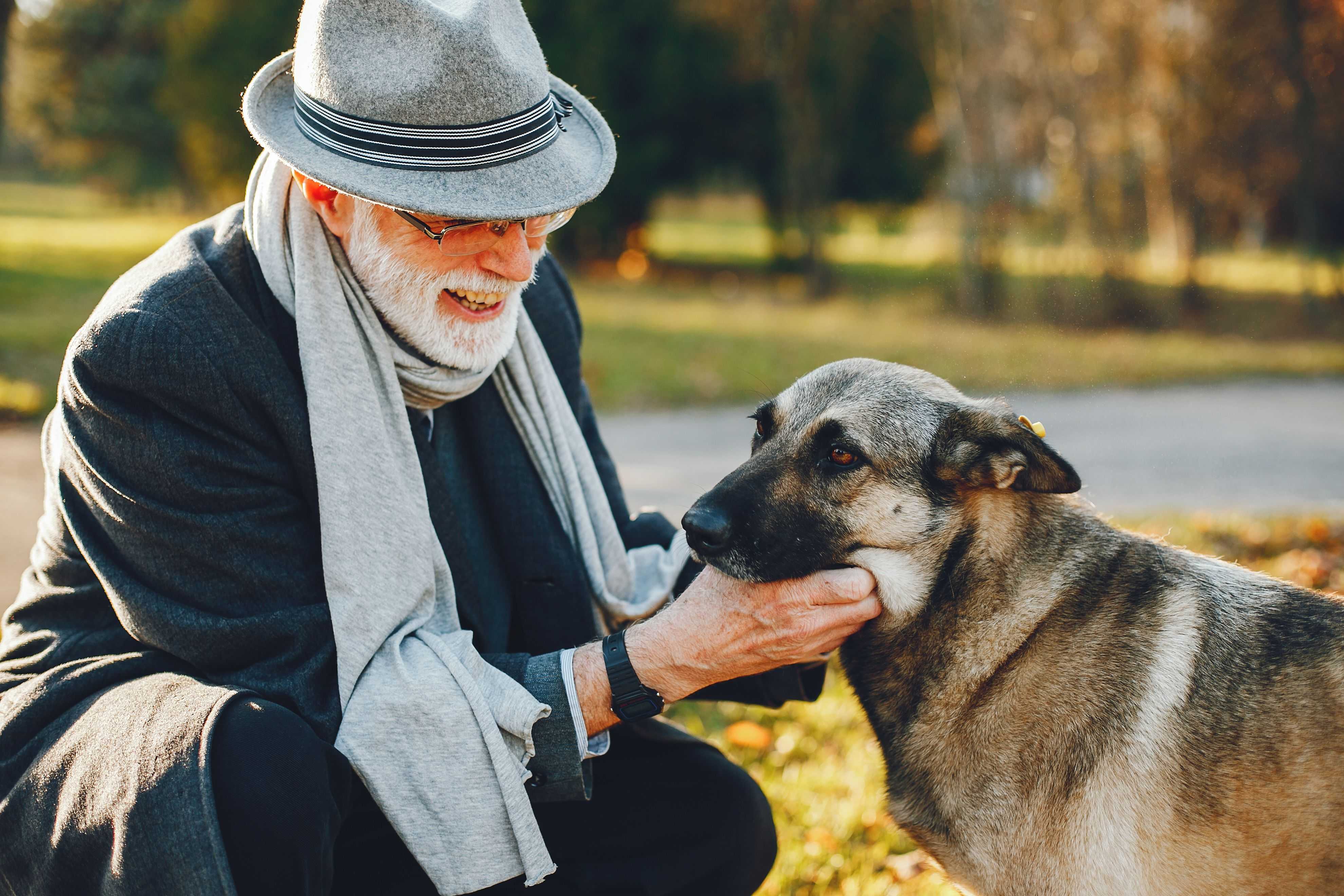 elegant-old-man-sunny-autumn-park.jpg