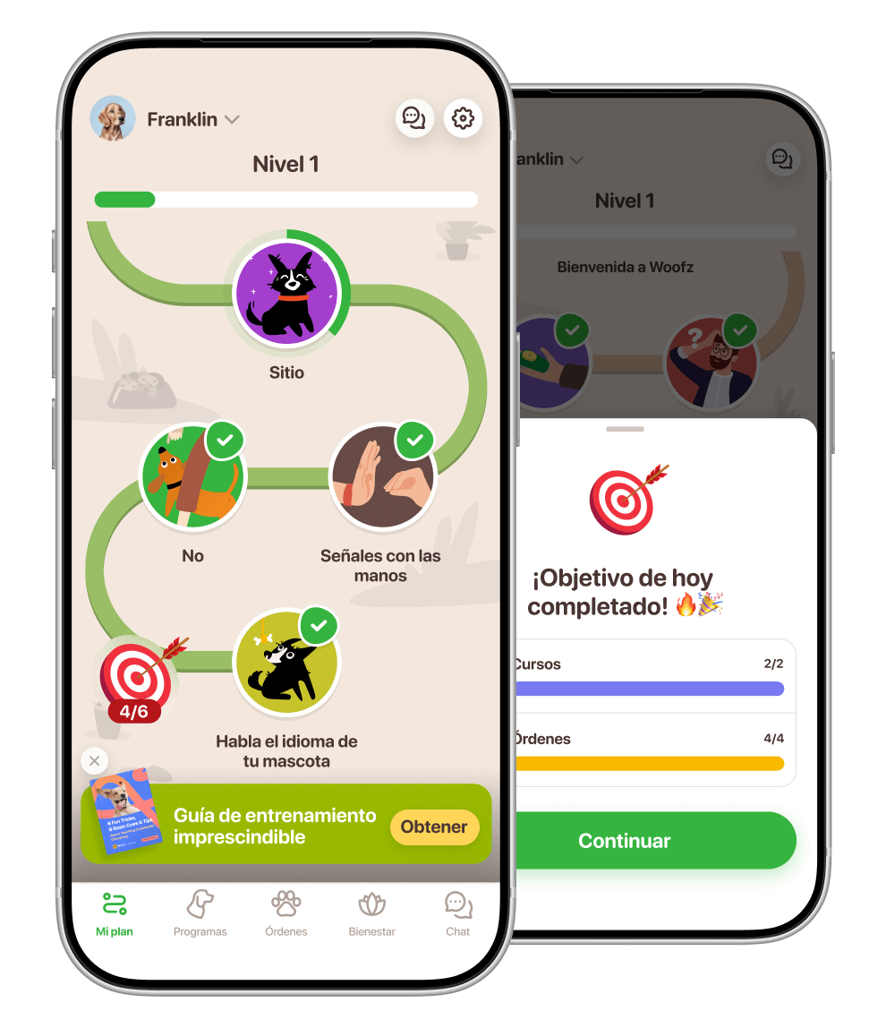 app para perros